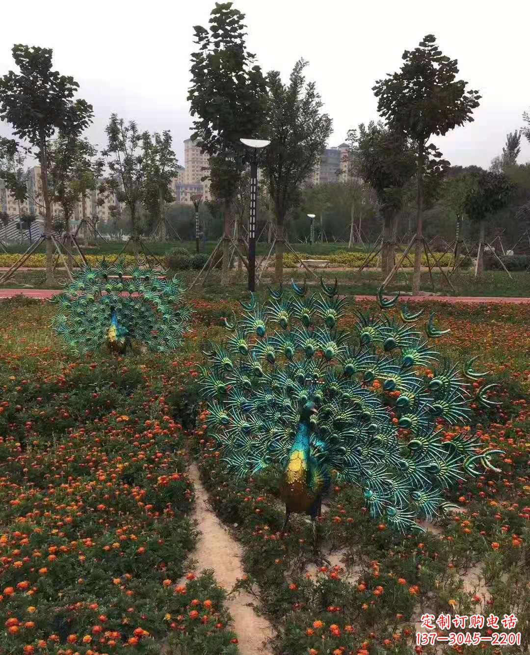 大连不锈钢彩绘孔雀雕塑