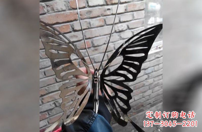 大连不锈钢抽象蝴蝶