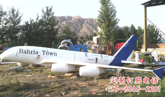 大连静静躺在大地上的不锈钢飞机雕塑