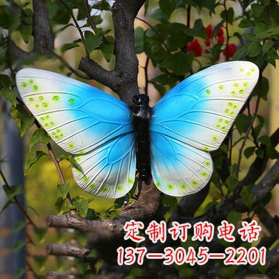 大连精致风韵，蓝白蝴蝶雕塑