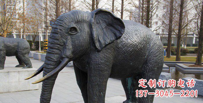 大连精致精美的大象公园雕塑