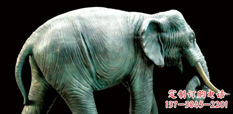大连铜雕大象——艺术精灵的完美融合