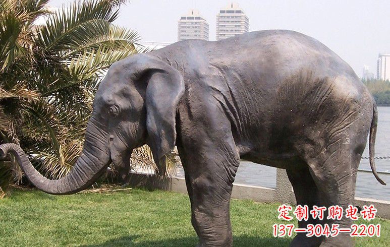 大连高品质铜质大象雕塑