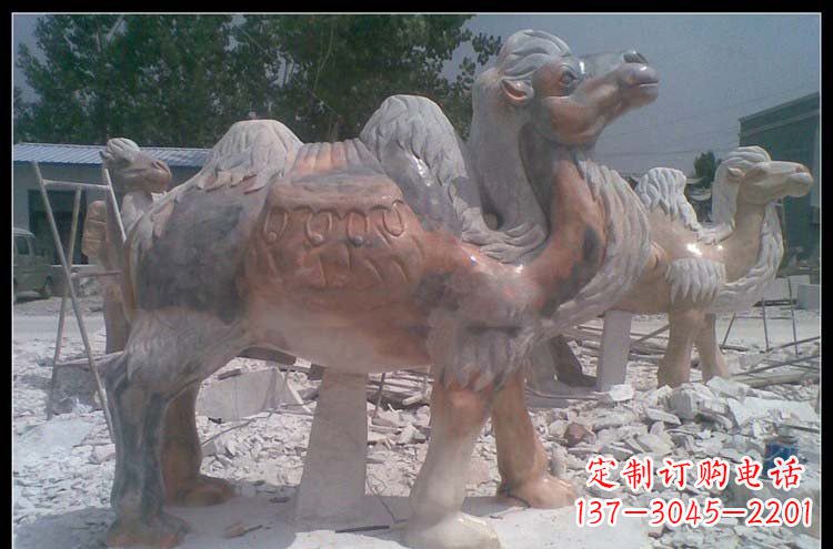 大连公园动物骆驼石雕222