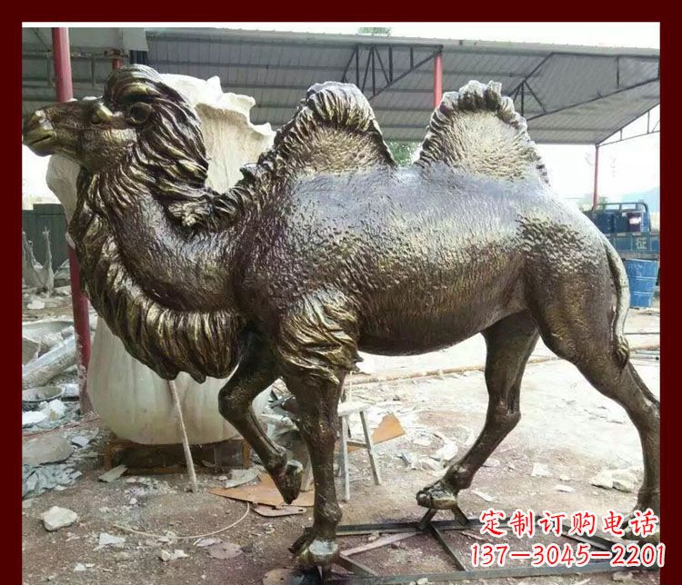 大连公园双峰骆驼铜雕