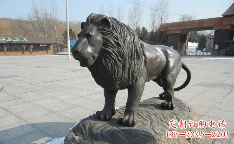 大连广场非洲狮动物铜雕