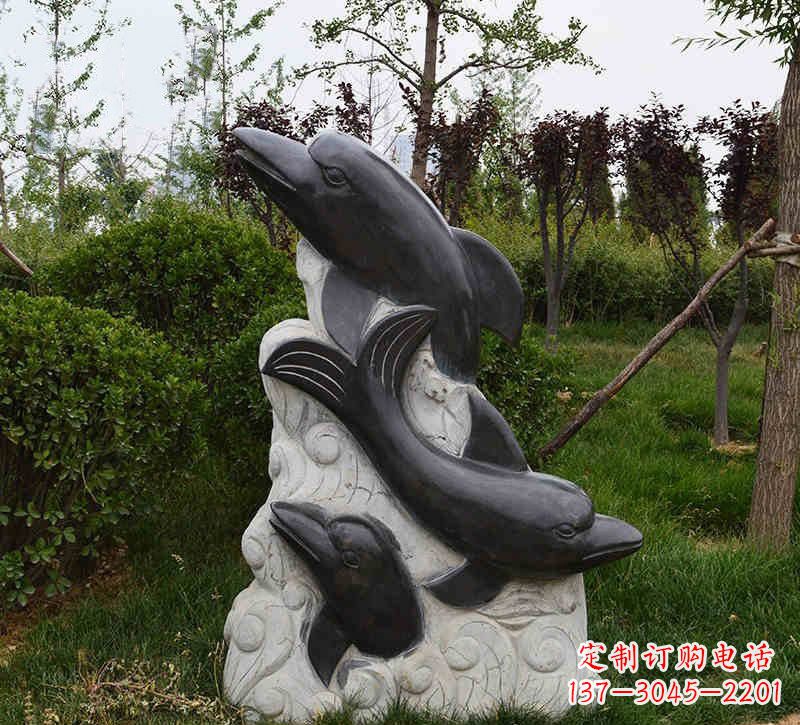 大连海豚石浮雕