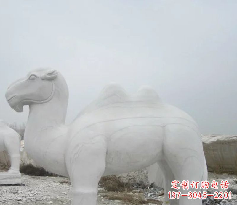 大连汉白玉骆驼石雕塑,装点家居空间