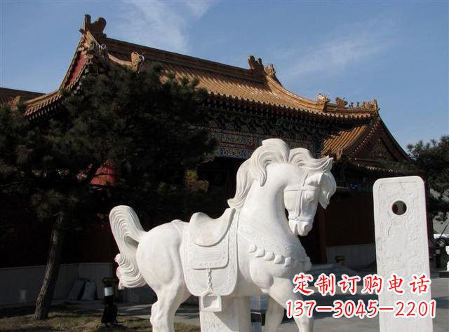 大连石雕小马