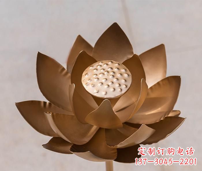 大连铜雕景观荷花