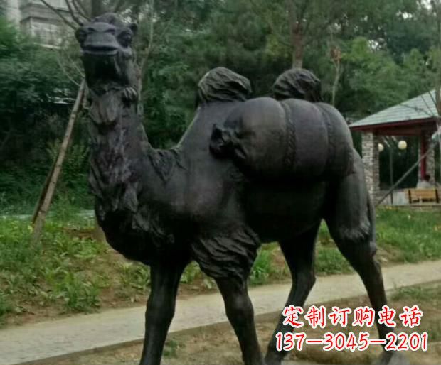 大连驮行李的骆驼铜雕