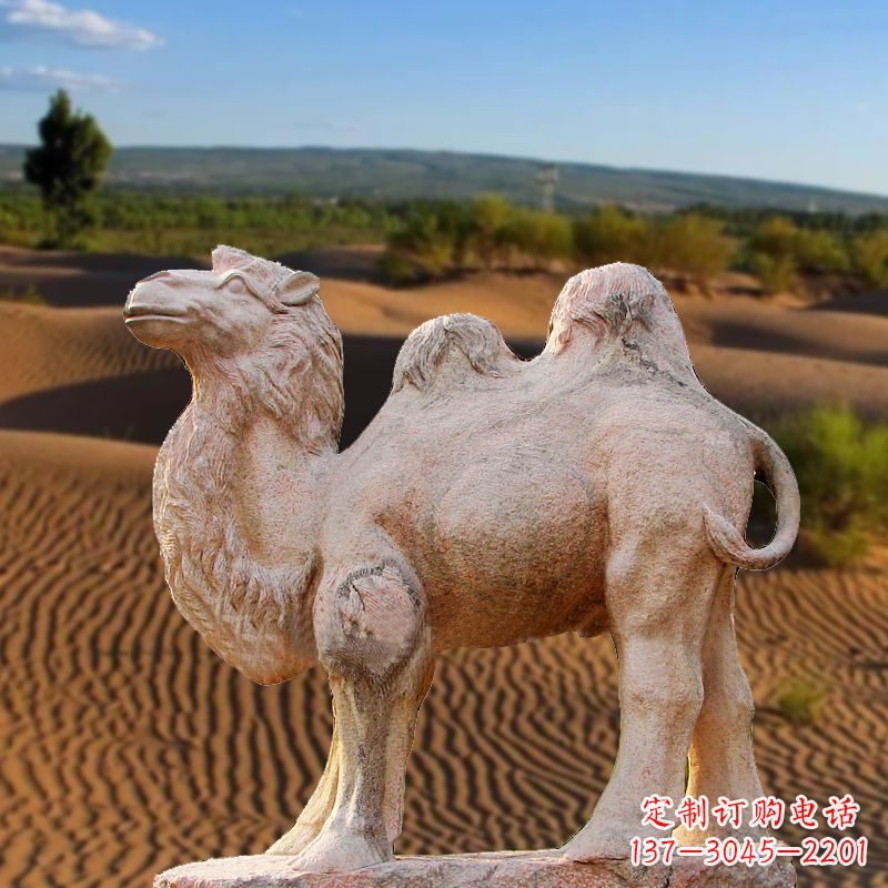 大连晚霞红大理石骆驼