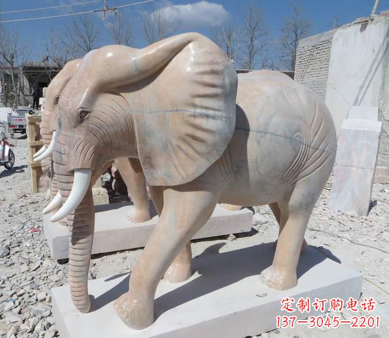 大连晚霞红卷鼻大象