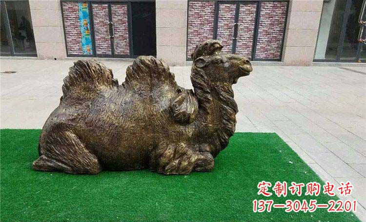 大连卧着的骆驼动物铜雕